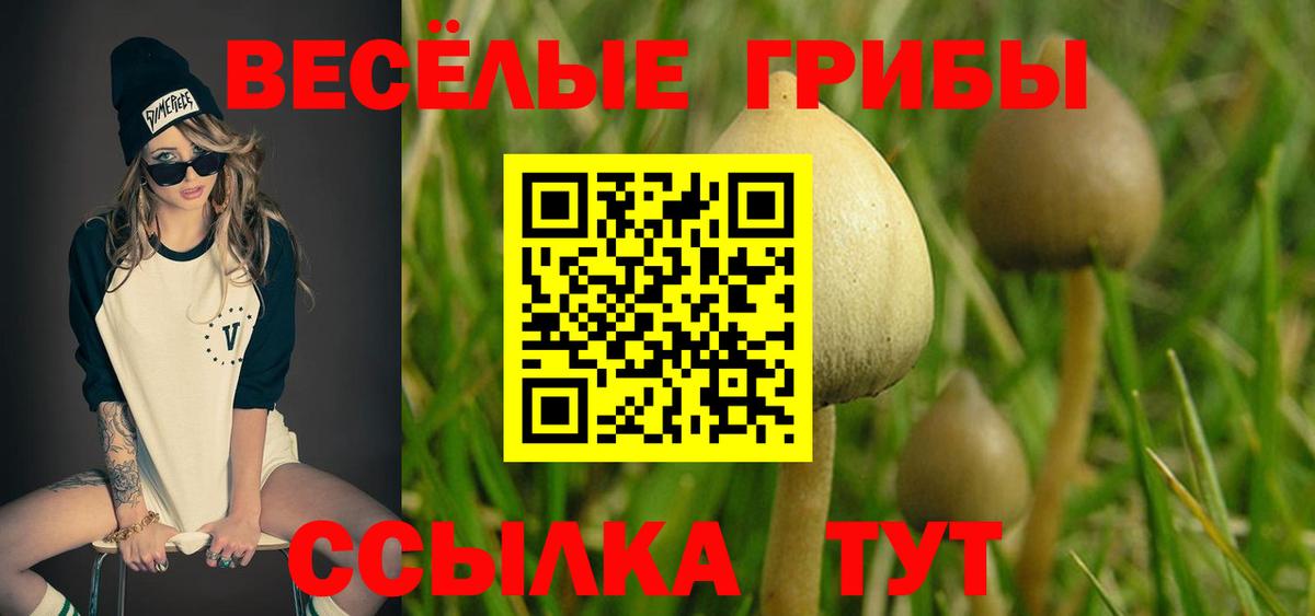 Прокопьевск  Галлюциногенные грибы Psilocybine cubensis  Вход с VPN 